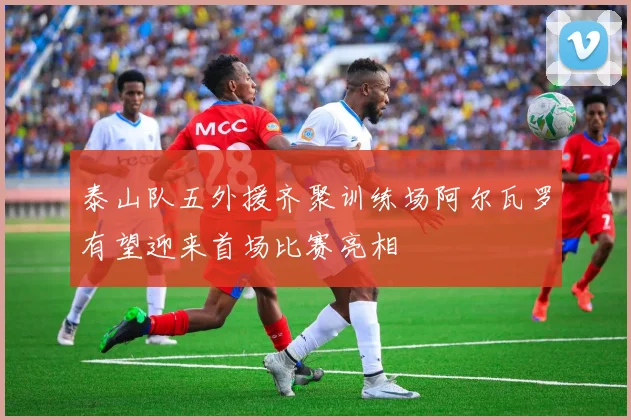 泰山队五外援齐聚训练场阿尔瓦罗有望迎来首场比赛亮相