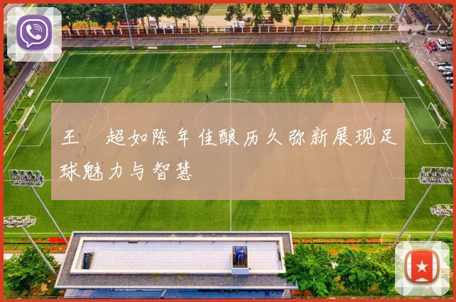 王燊超如陈年佳酿历久弥新展现足球魅力与智慧