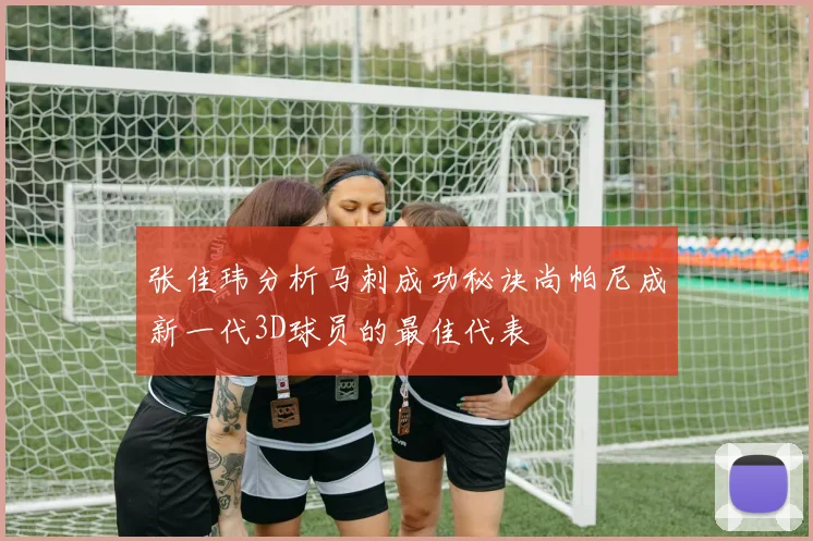 张佳玮分析马刺成功秘诀尚帕尼成新一代3D球员的最佳代表